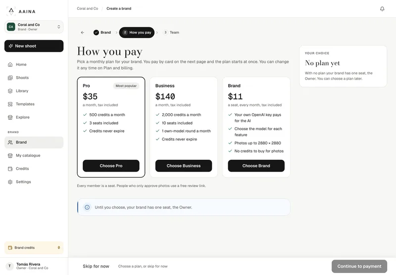 How you pay: the Pro, Business and Brand plans with what each includes, and Continue to payment